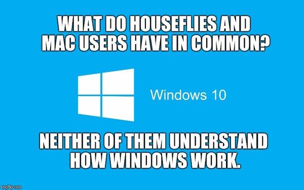 Windows upgrades