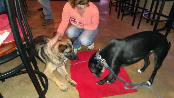 Donna Nedrow takes a moment to greet Zena and RockStar.  Great family oriented place.  Dog friendly & great selection brews.