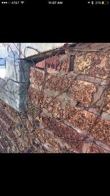 Crumbling parapet wall