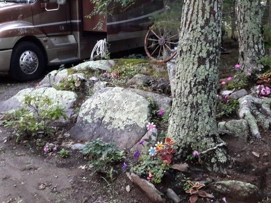 One of the beautiful rock gardens at the campground