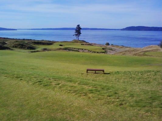 Chambers Bay 15th Hole