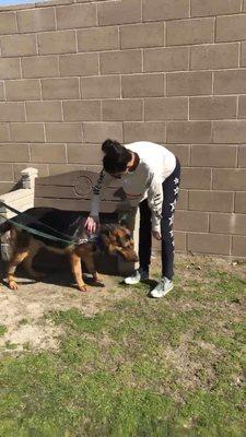 Meeting him at OC Animal Care Shelter after speaking to Erika B.