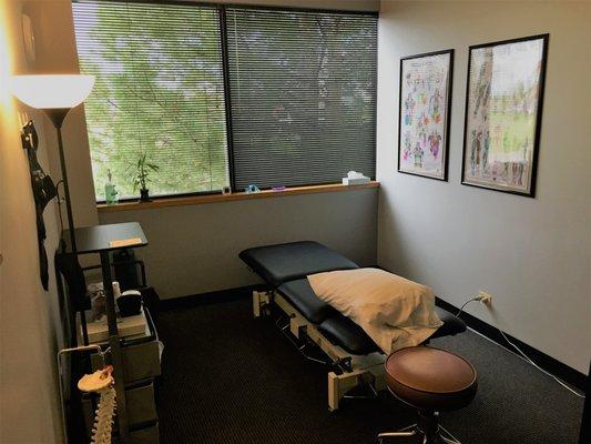 A private treatment room with a calm atmosphere, and shielded by mature evergreen trees just outside the windows.