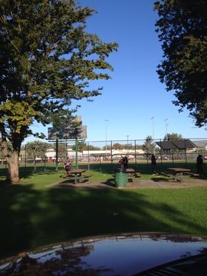 Outfield area of one ball field