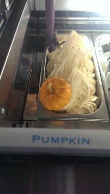 You had me at Pumpkin, Frost Gelato!