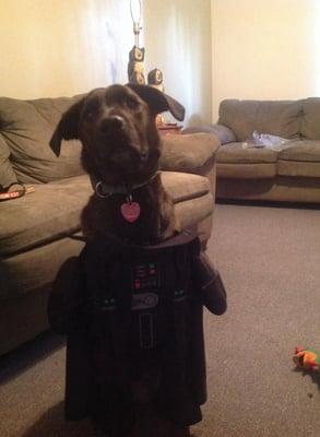 "You don't know the power of The Dark Side."  -- Darth Charlotte (thanks, Logan DI!)