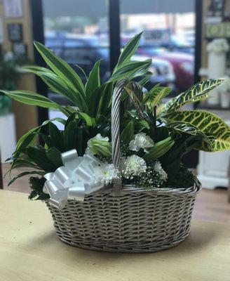 Sympathy Plant Basket