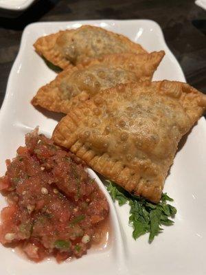 Empanadas (beef & chicken) with homemade salsa