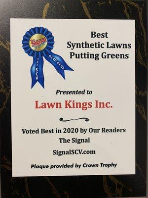 2020 synthetic lawn award