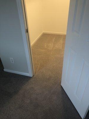 New carpet