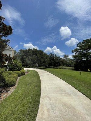 Concrete Driveway (After)