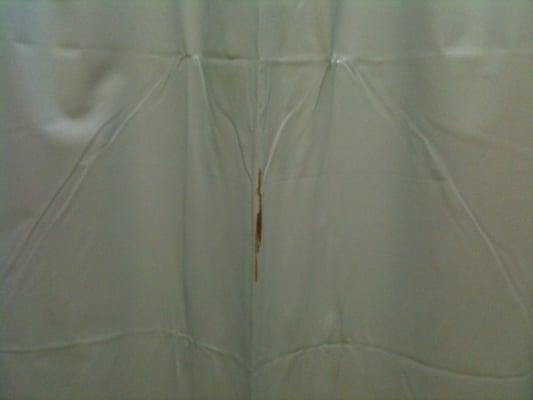 Mold on the hospital looking shower curtain