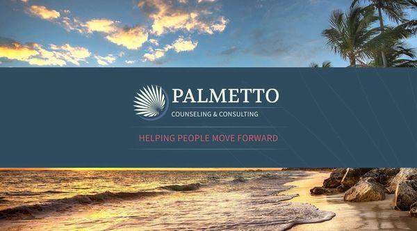 Palmetto Counseling & Consulting