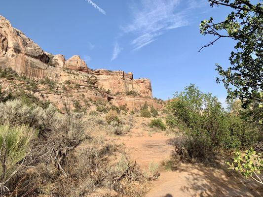 Escalante Natural Bridge