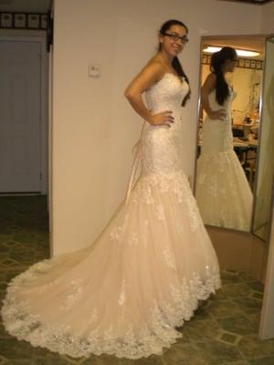 Wedding Dress Alteration/Tailoring