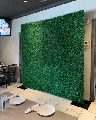 Green Boxwood Hedge Wall