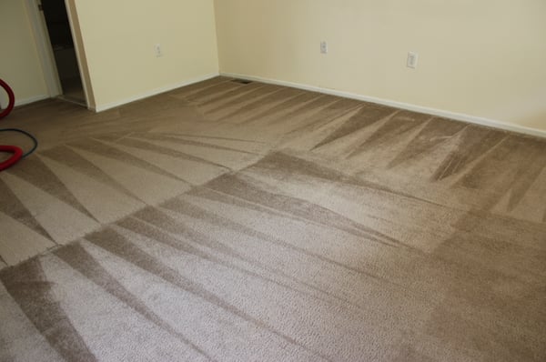 This homeowners carpet was 10 years old and it looked like new after we cleaned her carpets.