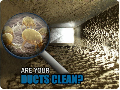 Do you ducts look like this?