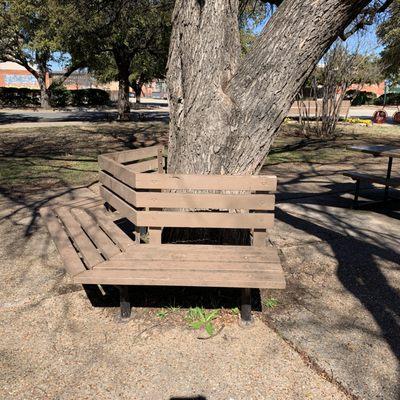 Bench around tree in the Bud Daniel Park in Wichita Falls, Texas.