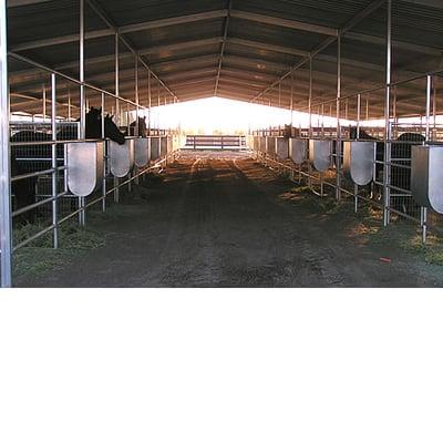 Horse Stalls