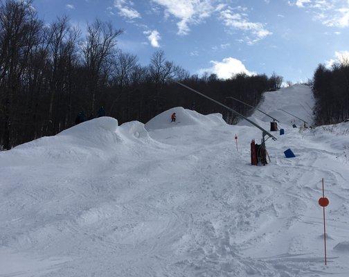 Windham Mountain
 Whales on Wedel