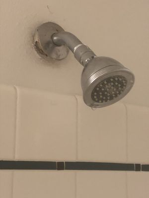 A nasty showerhead...