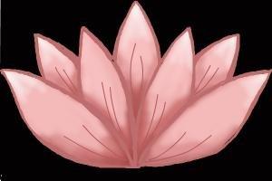 Pink Lotus