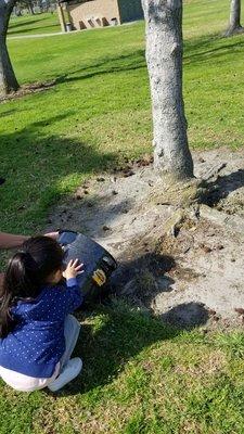 Feeding their pot of stone soup to a tree