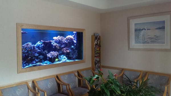 Our Famous Fish Tank