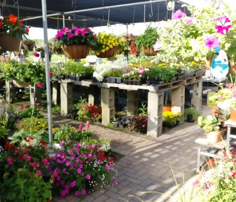 Garden center with lots of plants and landscape supplies at great prices