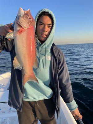 Caught a big rockfish early morning!