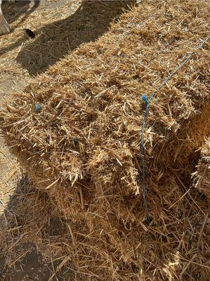 Such small pieces that the twine slipped off the side. Good quality straw bales should 'pop' when you cut the twine to open them