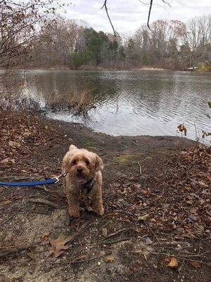 Bennett's Pond