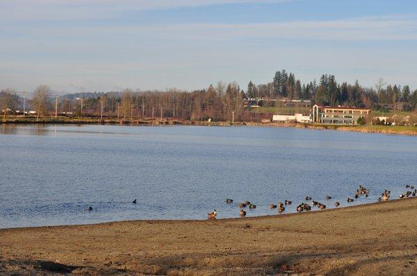 This is the beach and lake view