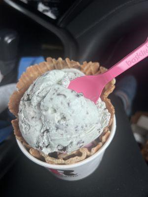 Mint chocolate chip with Jubilee Cherry on a waffle cup