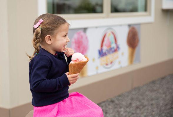 Fresh homemade waffle cones and bowls baked daily.