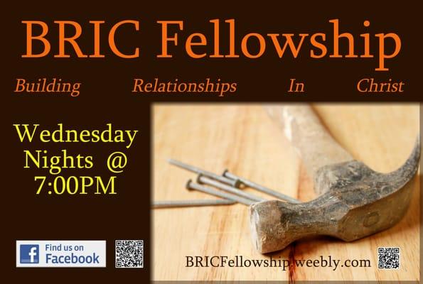 BRIC Fellowship