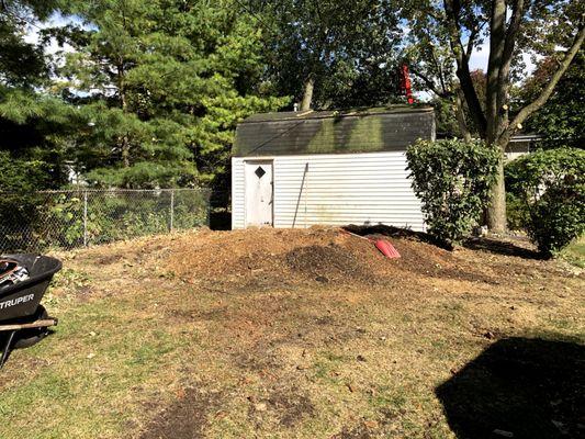 I decided to keep the free mulch and spread it around my property.