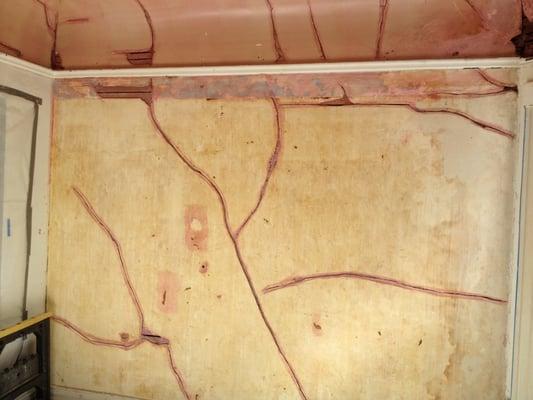 My favorite picture of plaster repair. Reminds me of an ant farm.