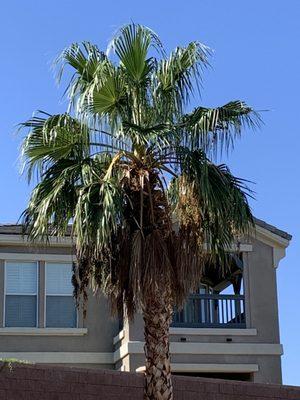 Casa Bonita Housekeeping and Landscaping