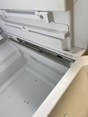 Mold in freezer