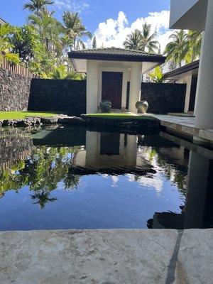 Front door and pond