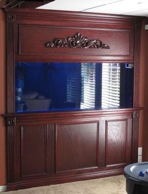 220gl custom in wall aquarium