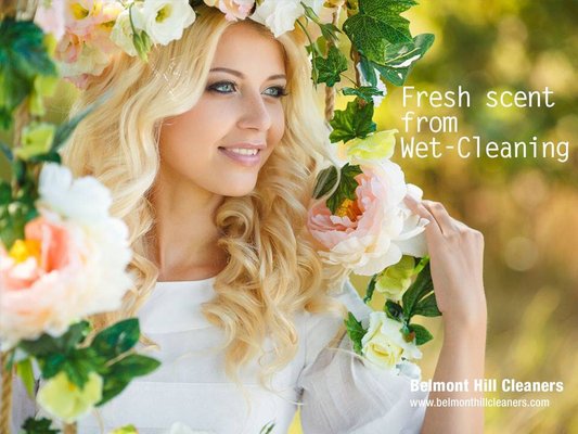 100% Organic Wet Cleaning