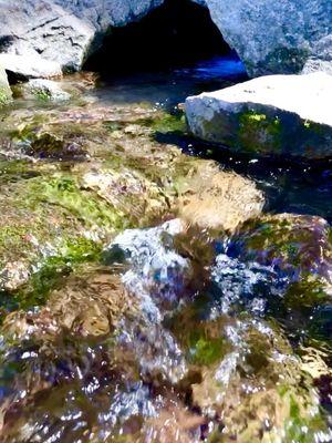 Pure mountain spring water coming out of Mt Shasta.