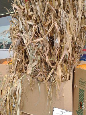 Corn stalks!! Definitely getting some!!