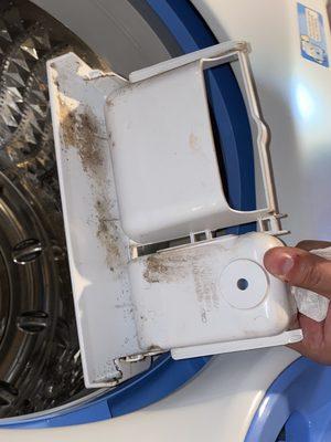 Mold on the detergent tray