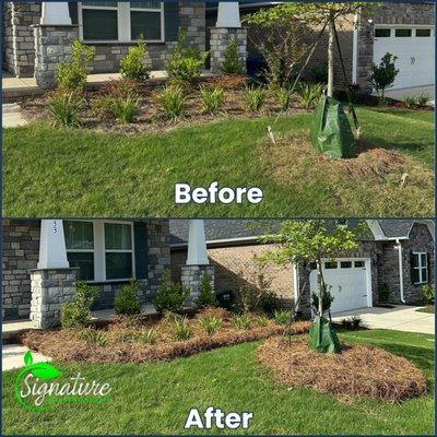 Revitalize gardens with our pine installs. Best in Charlotte! signaturelawnandlandscaping.com/landscaping/mulch-install-charlotte-nc/