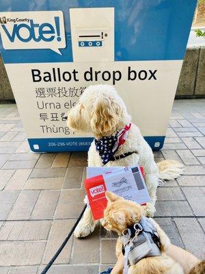 Family voting!! #Vote2020 #Bluetsunami