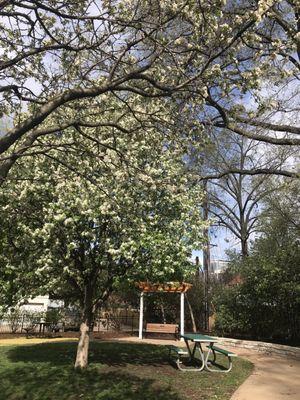 Beautiful green space in the city